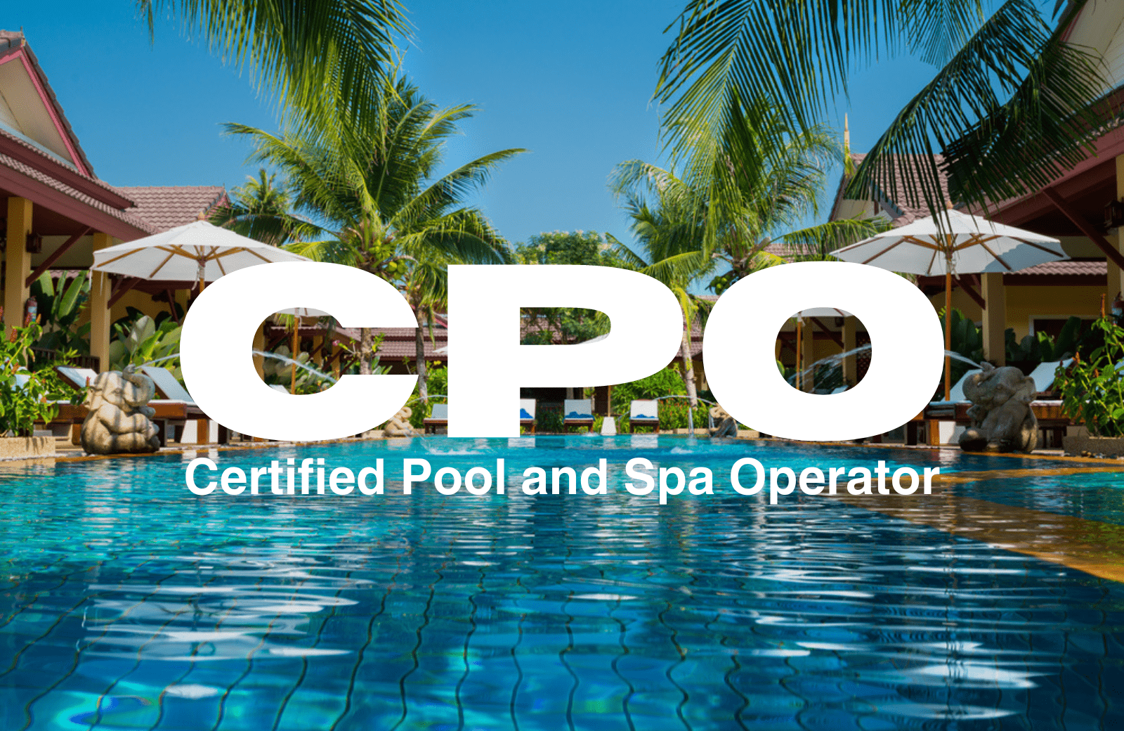 CPO® Certification
